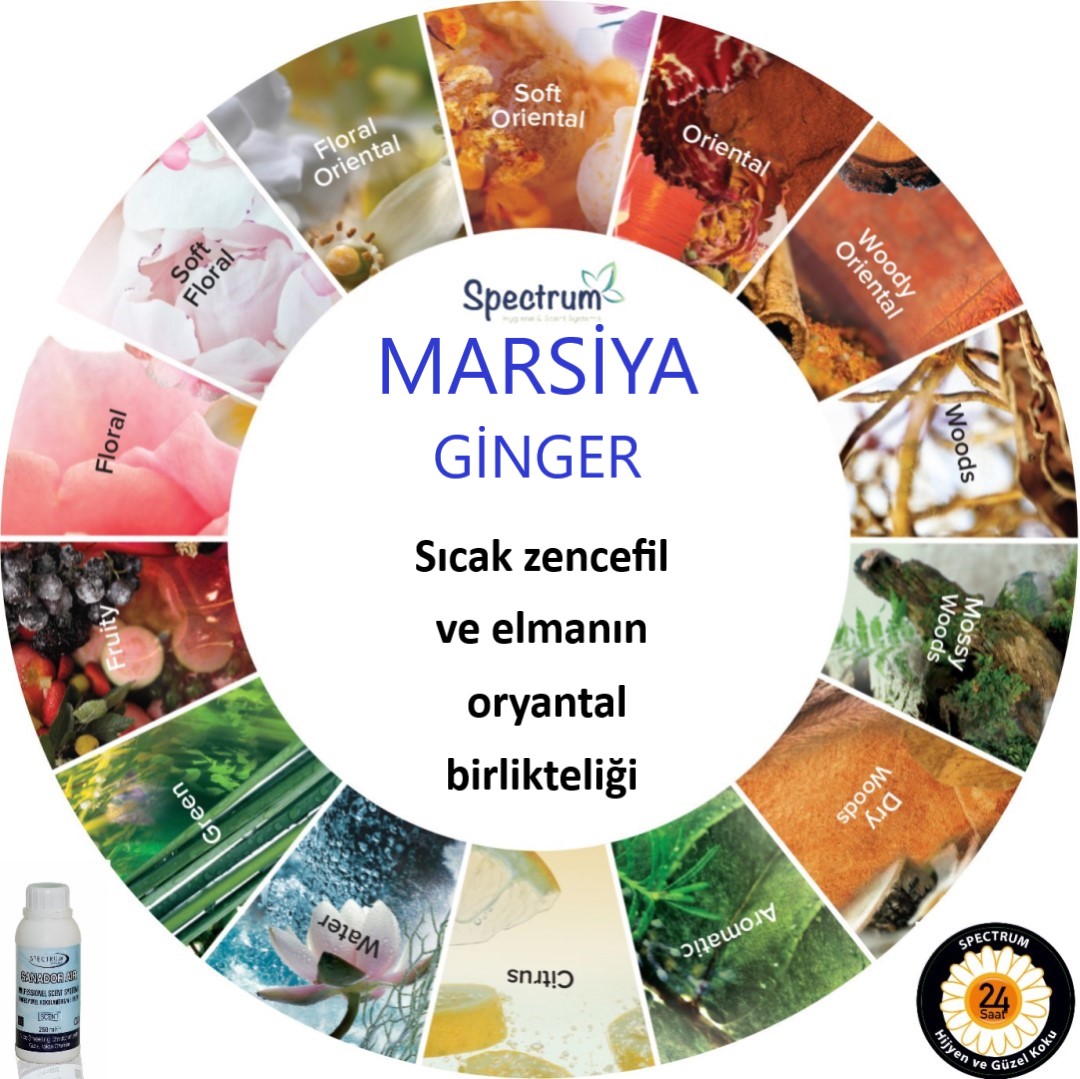 marsiya